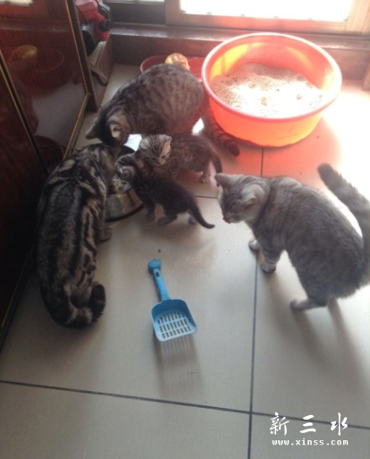 QQ截图20140101125319.png