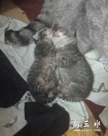 QQ截图20140101125424.png