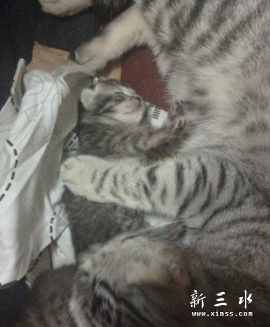 QQ截图20140101125454.png