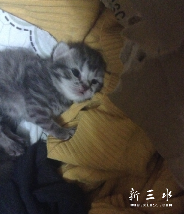 QQ截图20140101125509.png