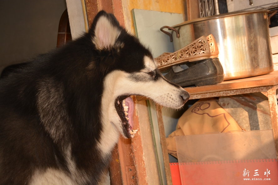 DSC_0075.jpg