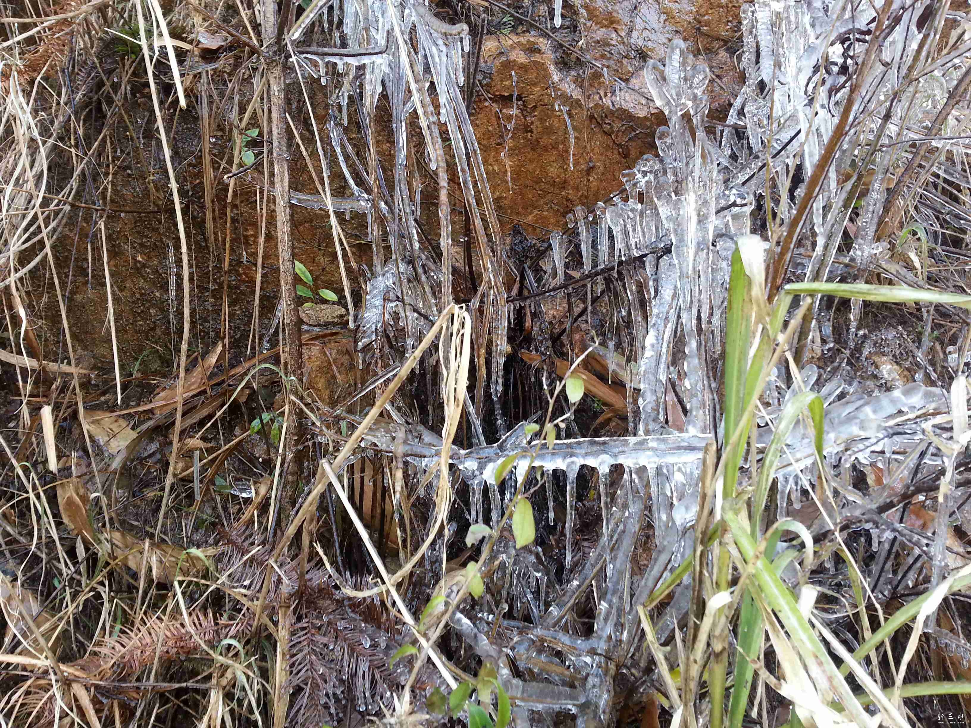20131229_101649.jpg