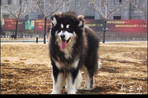 QQ图片20140110171050.jpg