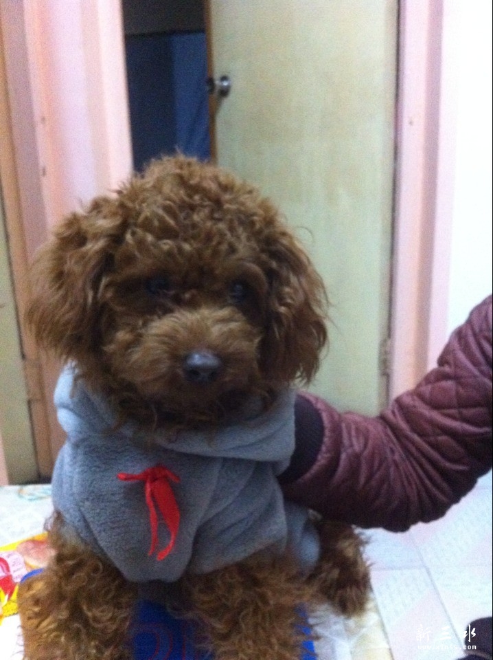 QQ图片20140115174719.jpg