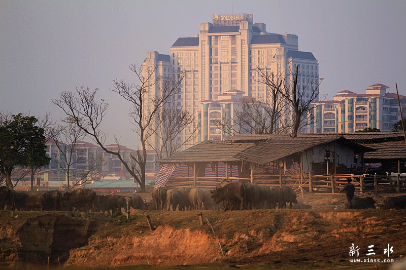 IMG_1148_副本.jpg