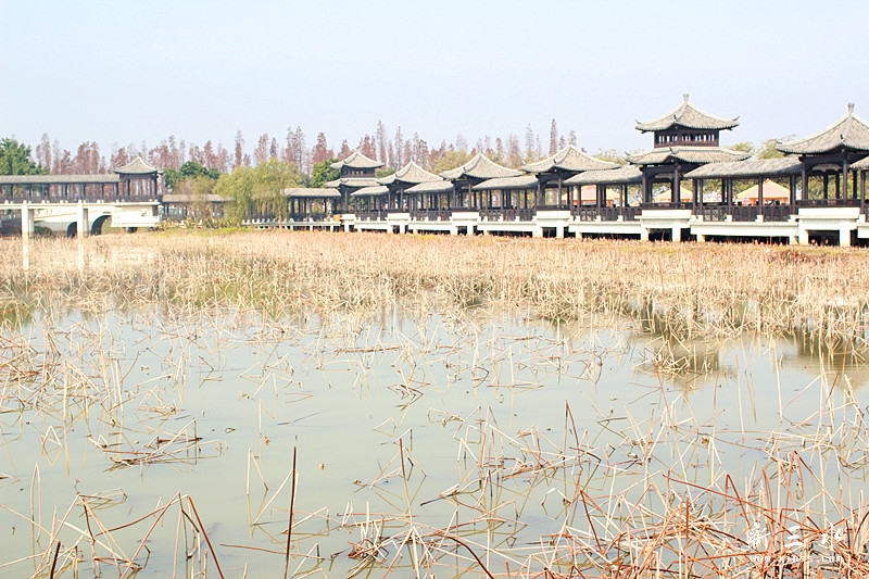 IMG_1415_副本.jpg