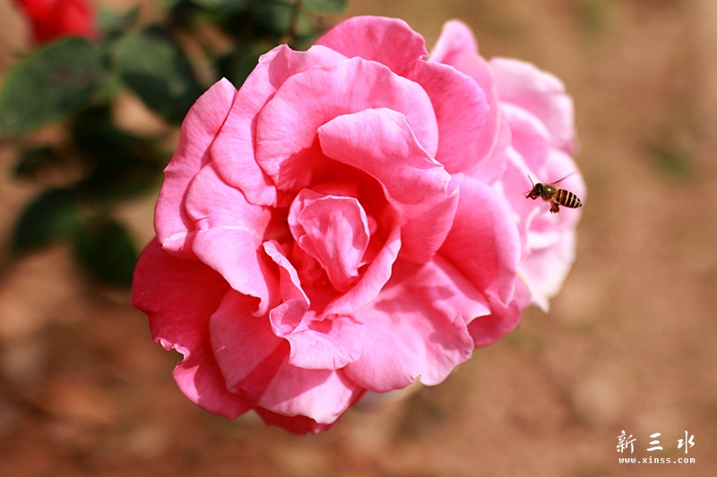 IMG_1658_副本.jpg