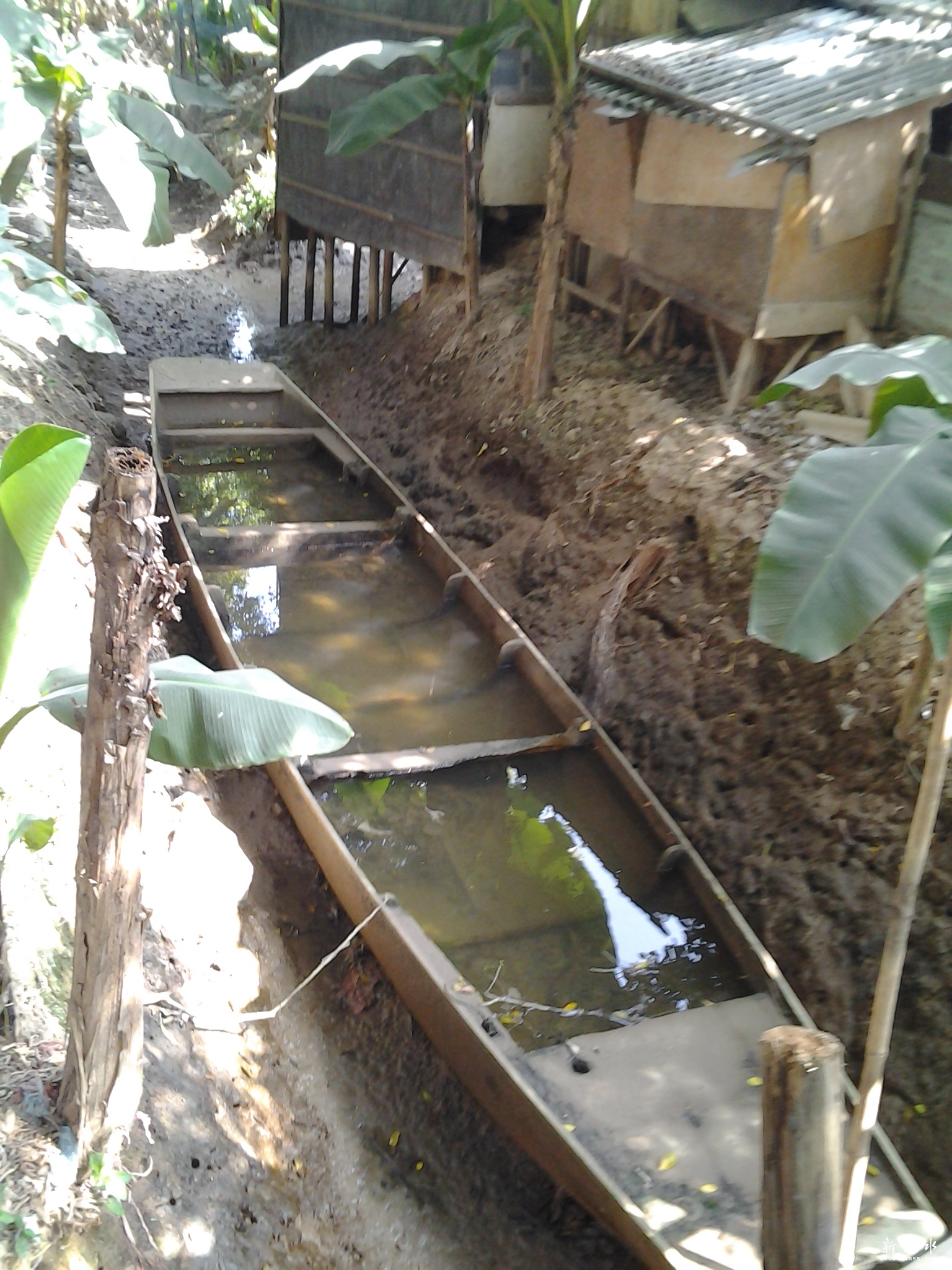 20140202_115032.jpg
