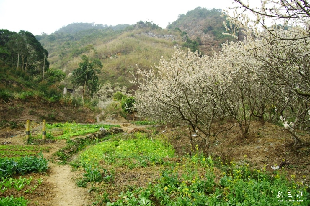 QQ图片20140213094811.jpg