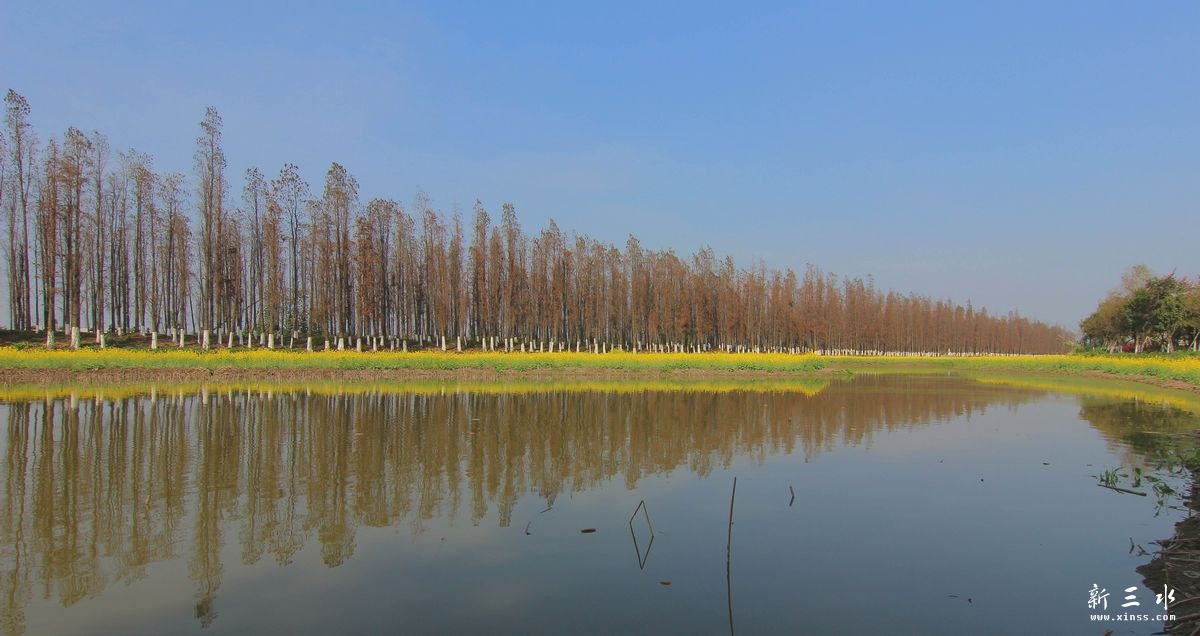 �ɻ�����