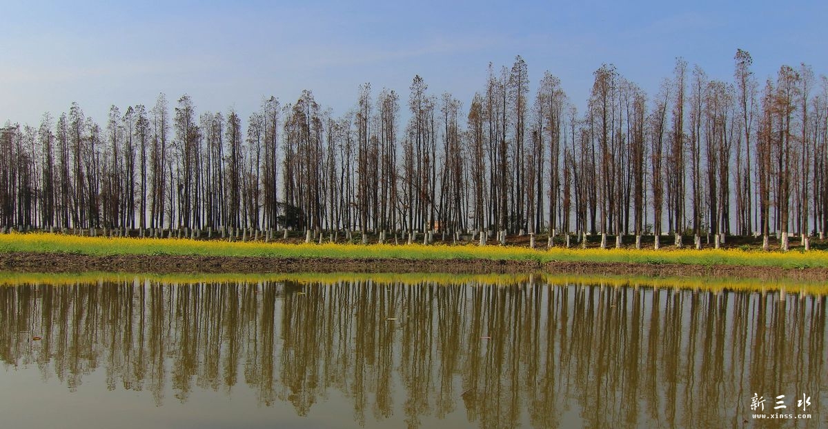 �ɻ�����