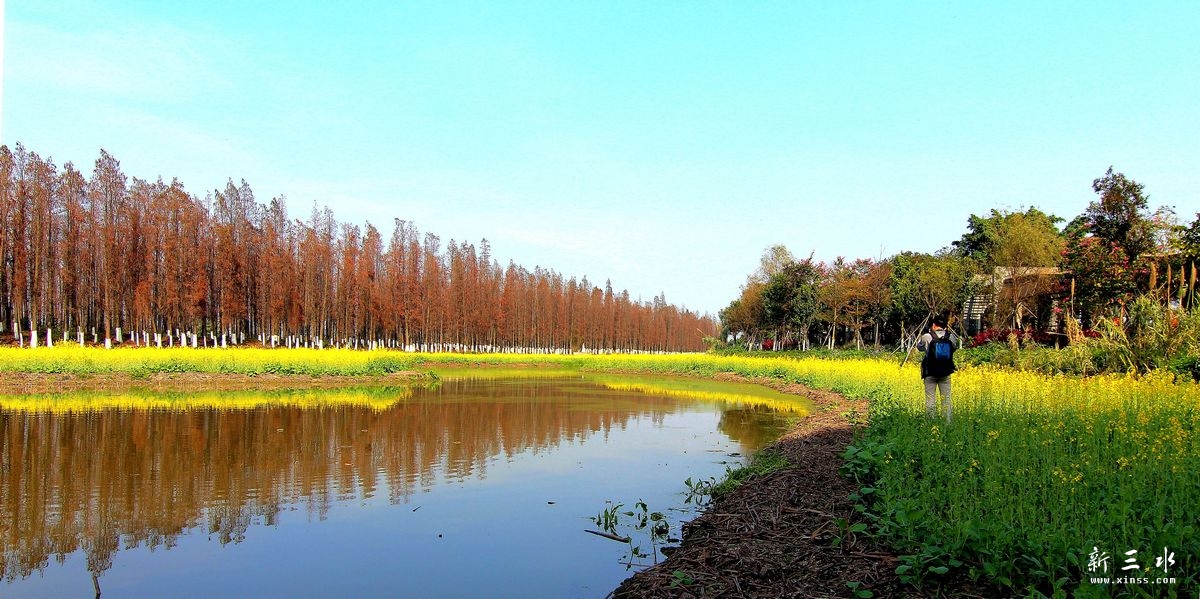 �ɻ�����3