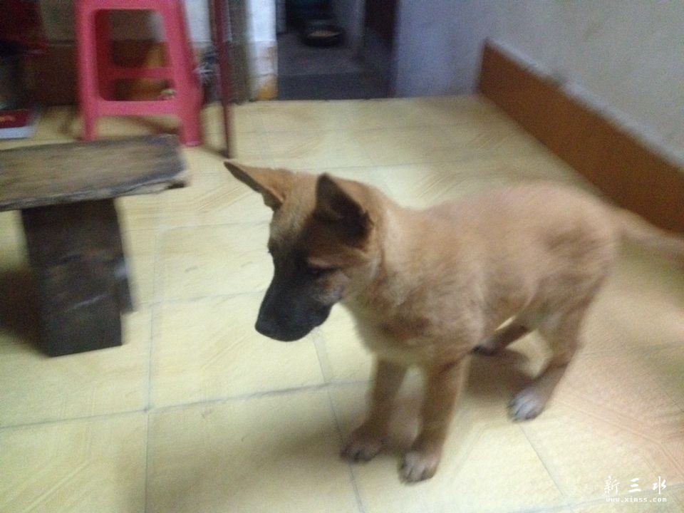 QQ图片20140307002311.jpg