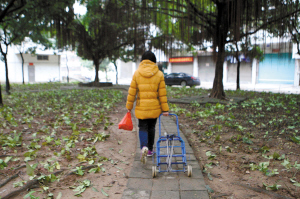 10�գ�����С��һ�������̵ص�ֲ�����������������齫�õظ�Ϊ�������