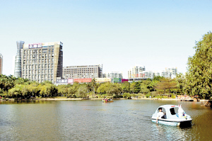 �����������Ϲ�԰�������档