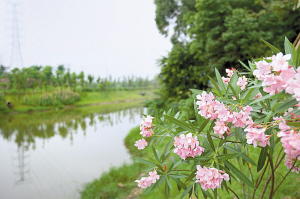 �����κ���Ա�ӿ���ʻ�ʢ����