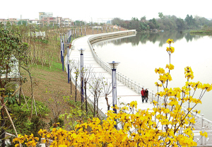 3��5�գ� ����������ӿ���λ���������