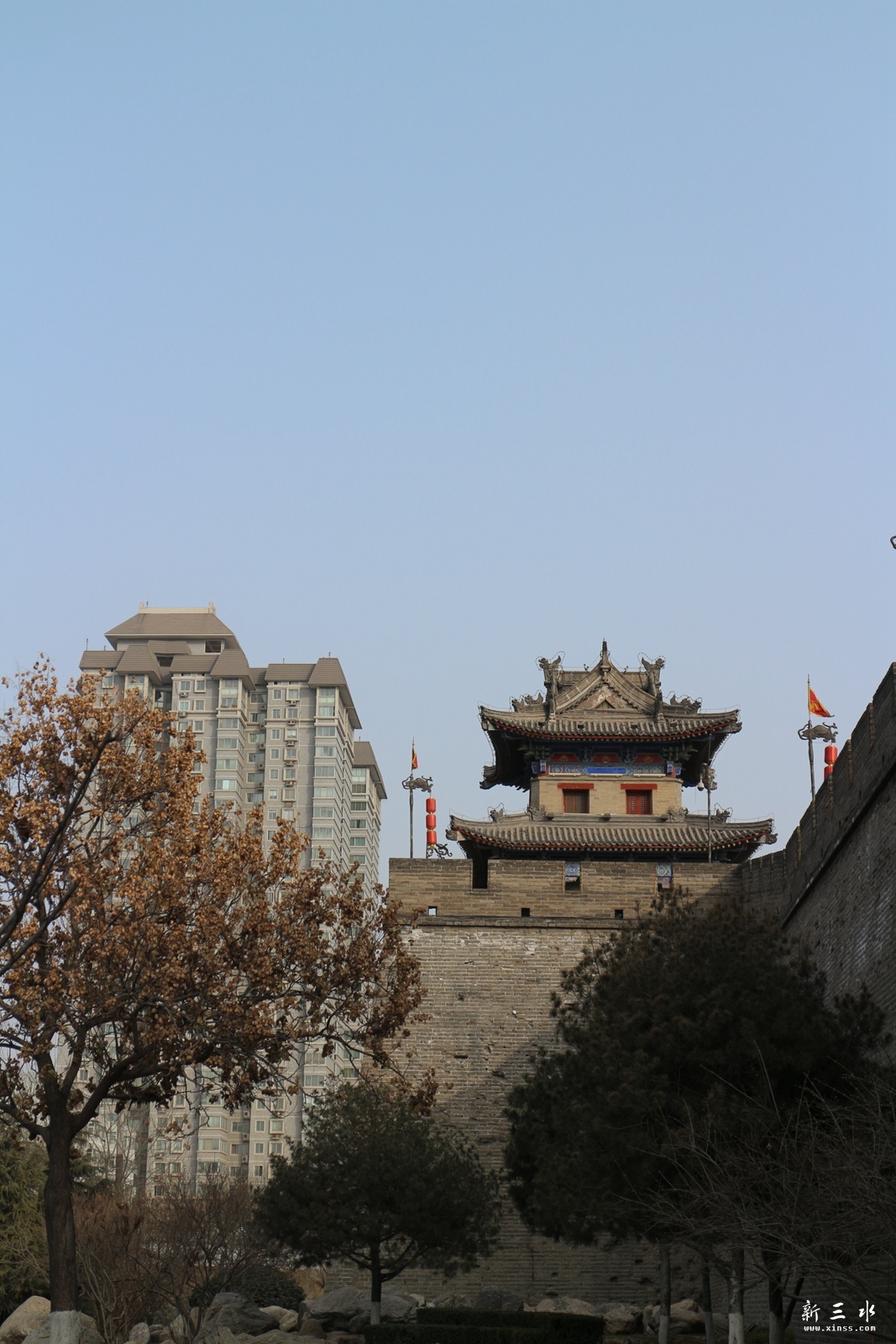 IMG_5869.JPG