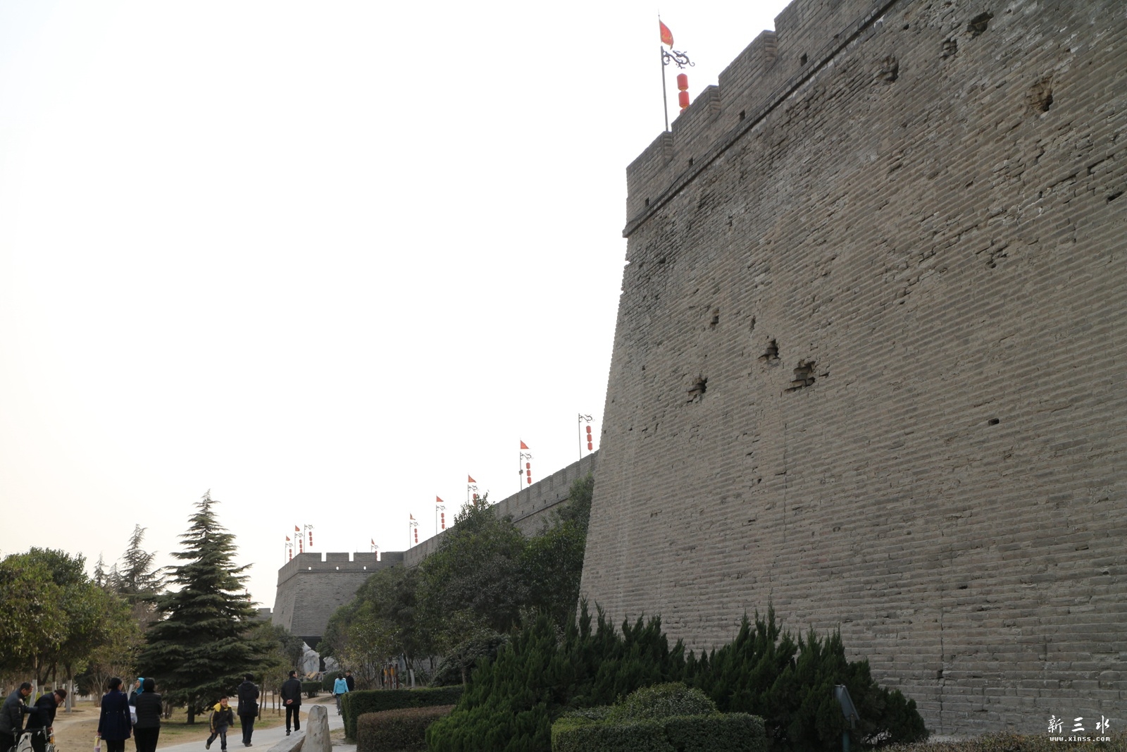 IMG_5882.JPG