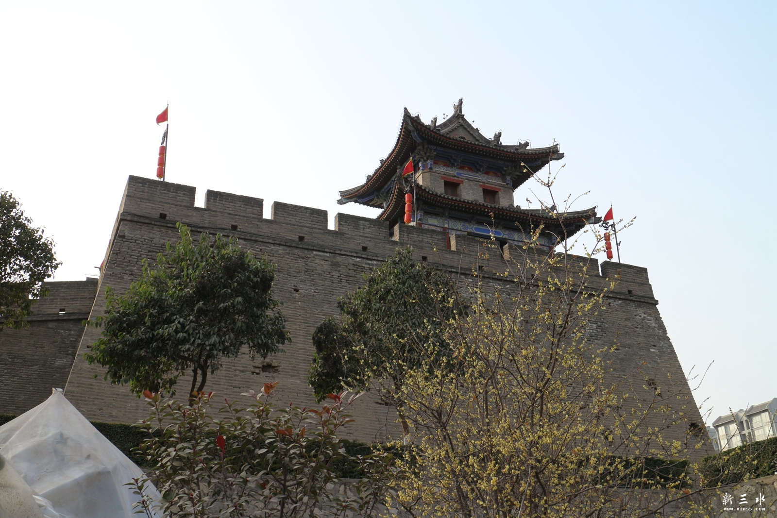 IMG_5890.JPG