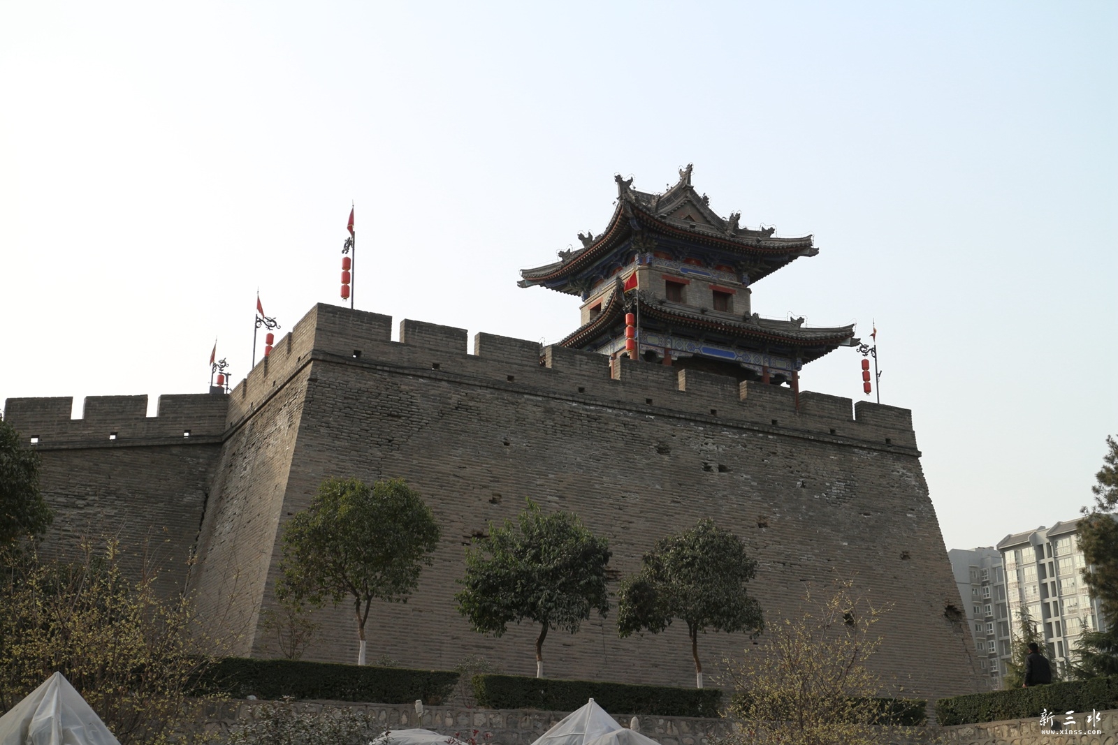 IMG_5895.JPG