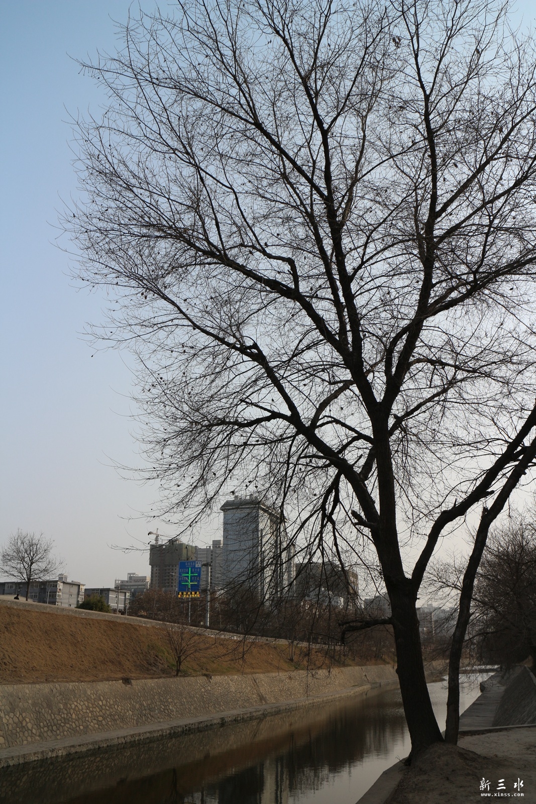 IMG_5900.JPG