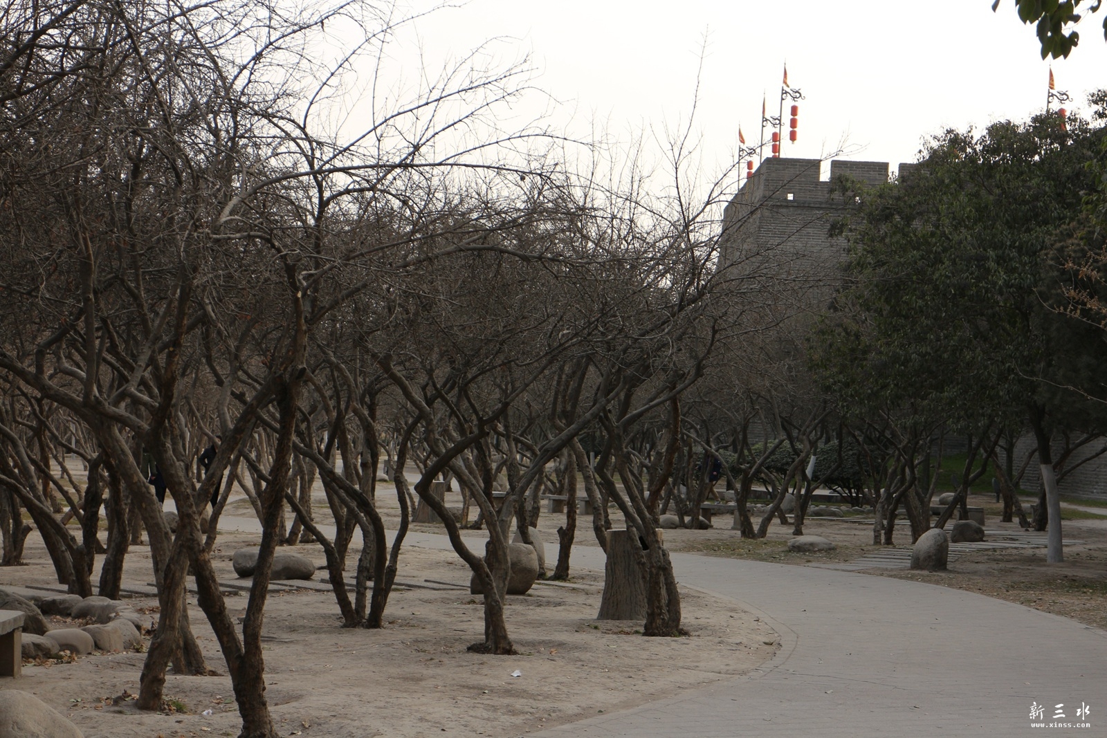 IMG_5913.JPG