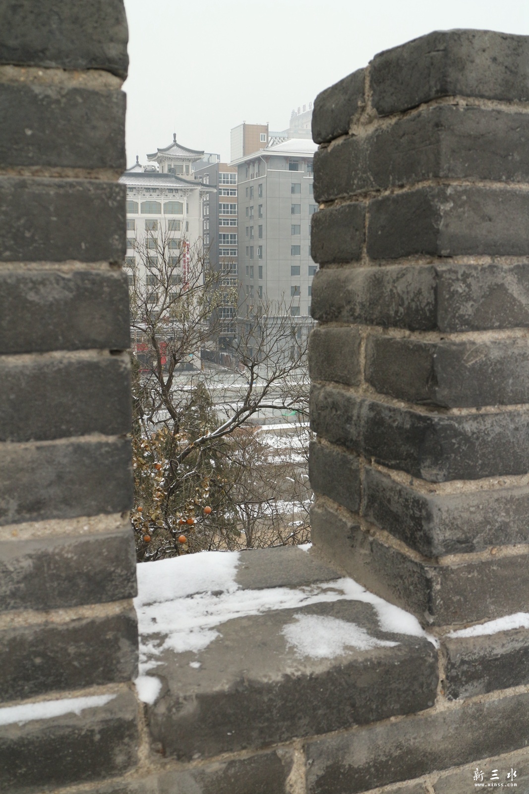 IMG_6929.JPG