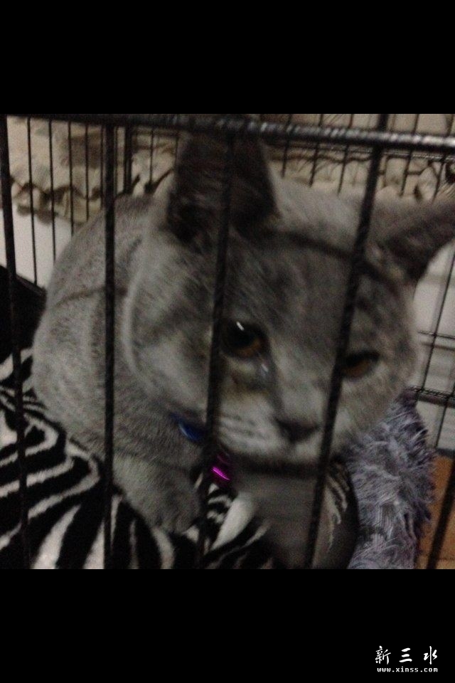 QQ图片20140312124233.jpg