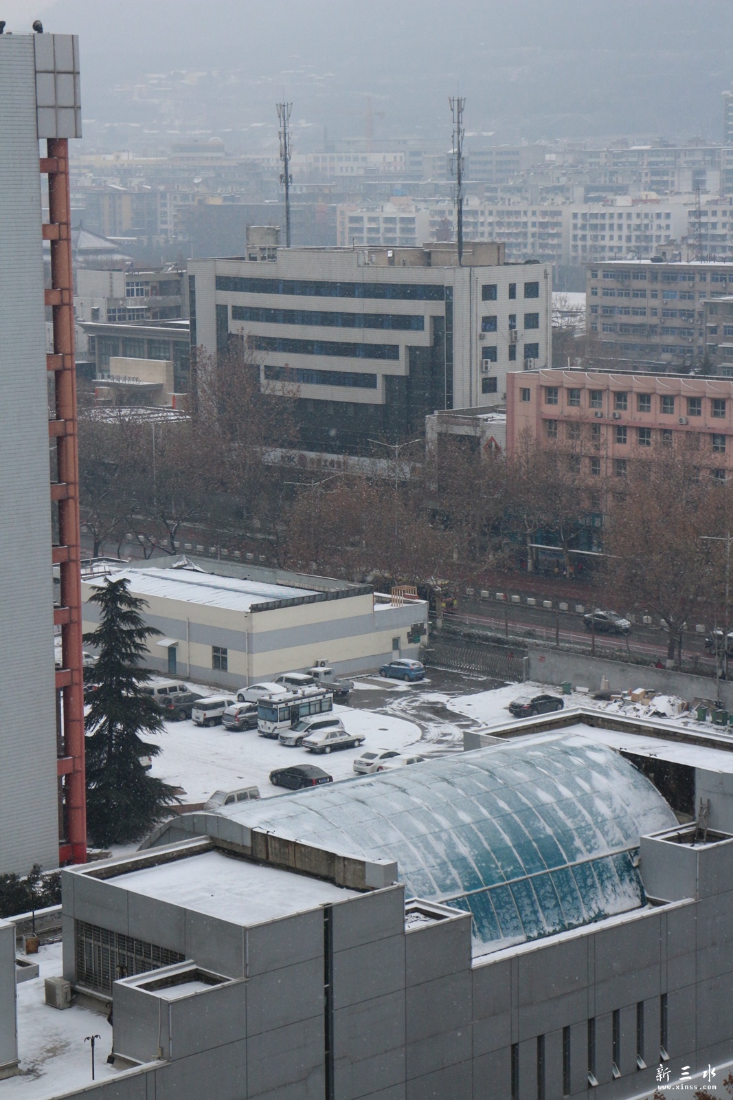 IMG_7251.JPG