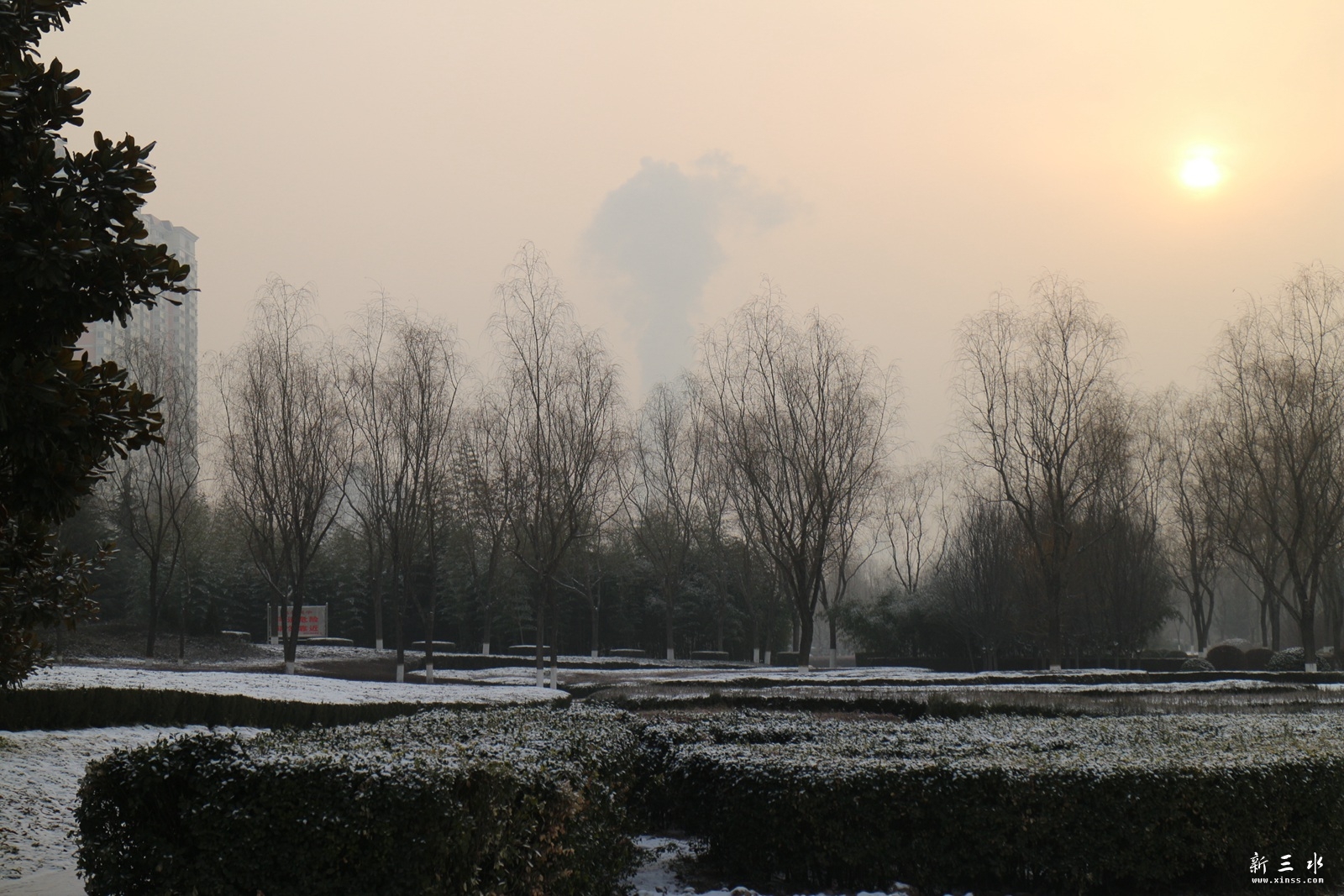 IMG_7484.JPG
