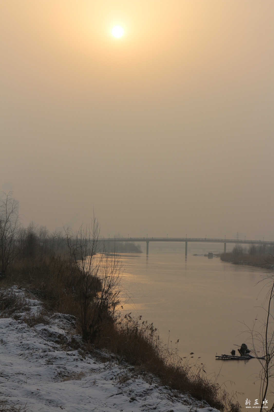 IMG_7521.JPG