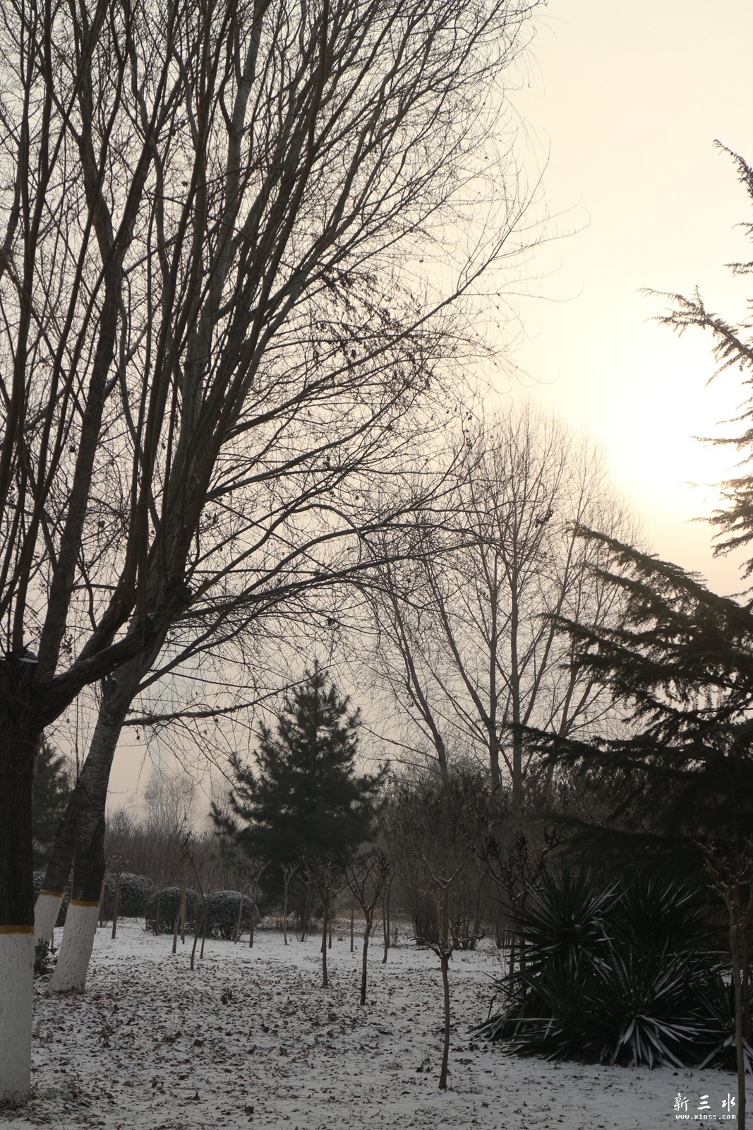 IMG_7551.JPG