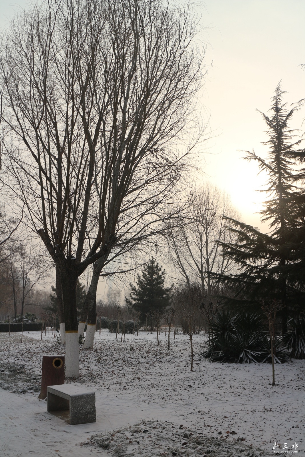 IMG_7552.JPG