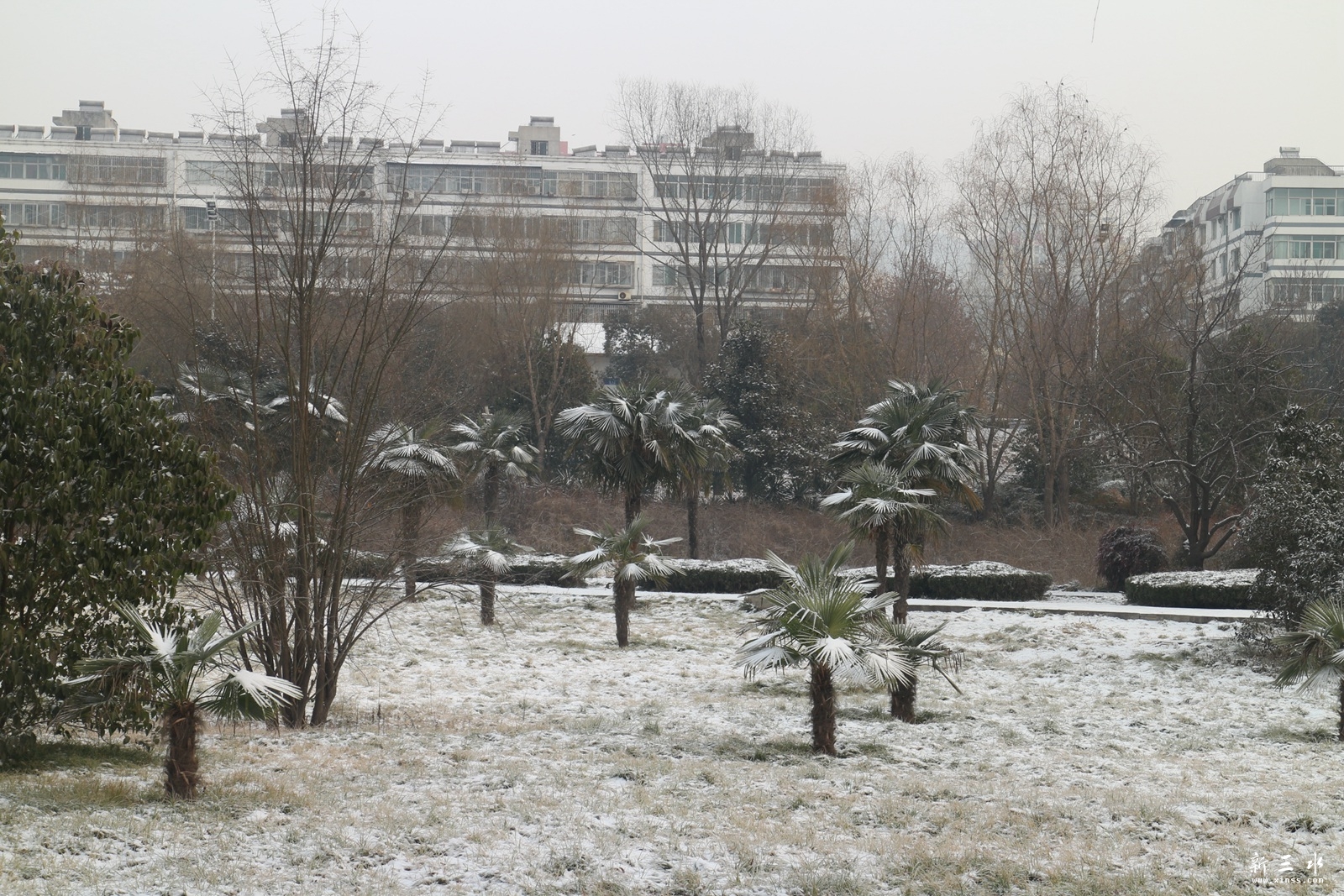 IMG_7555.JPG