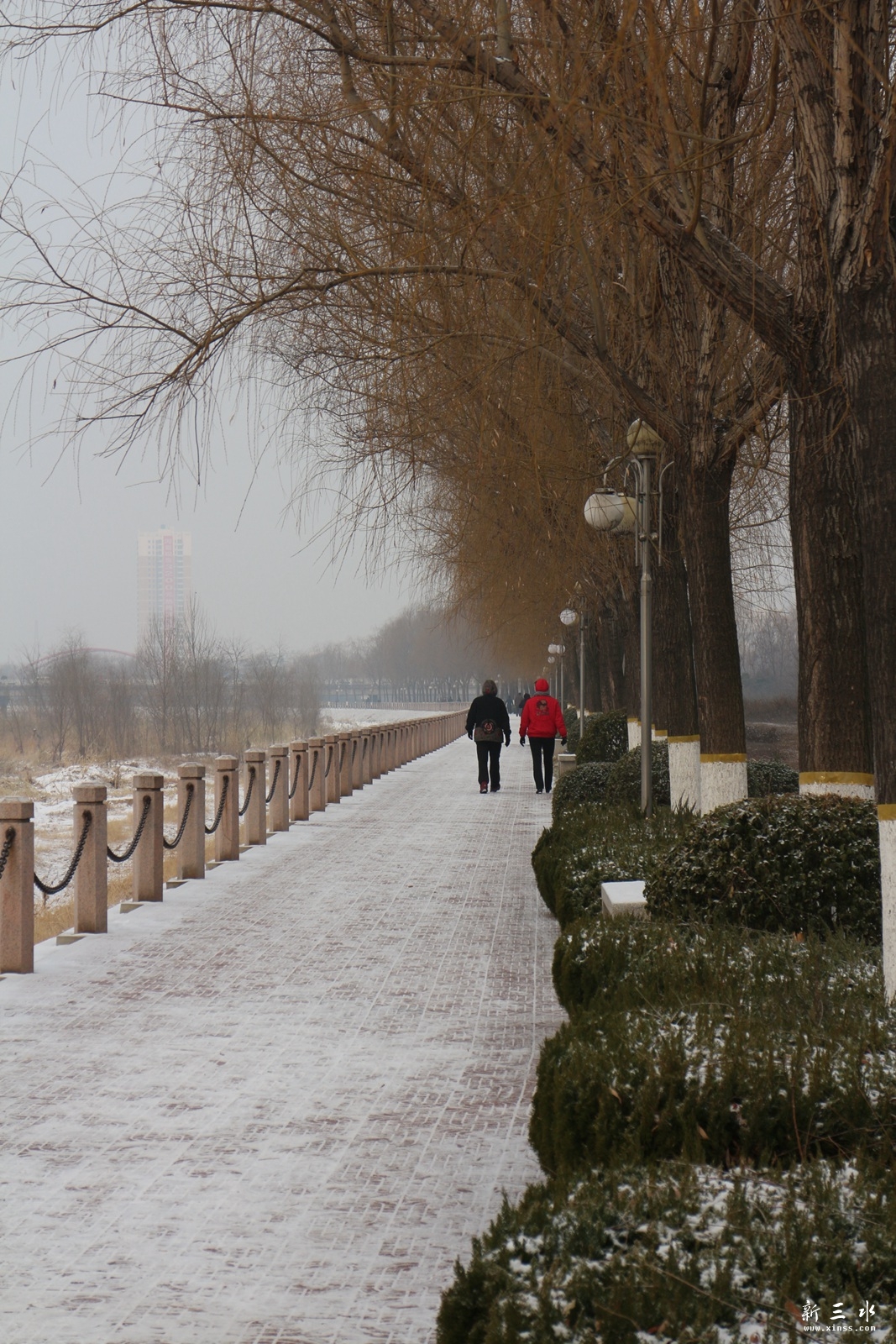 IMG_7589.JPG