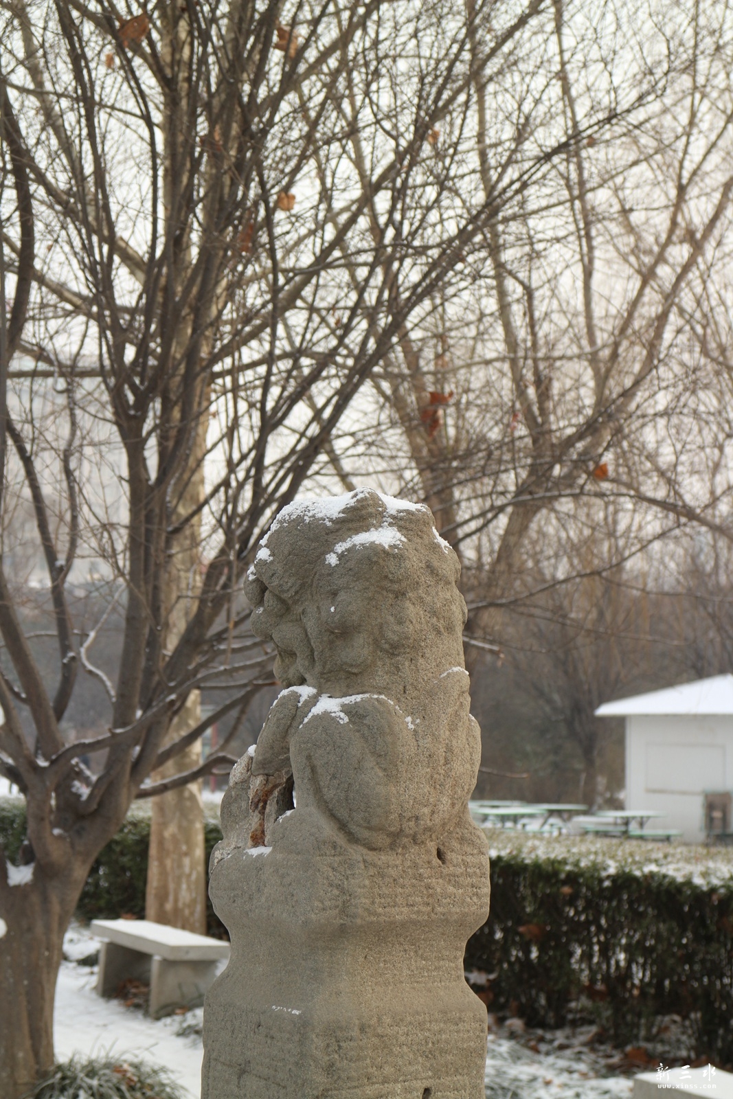 IMG_7592.JPG