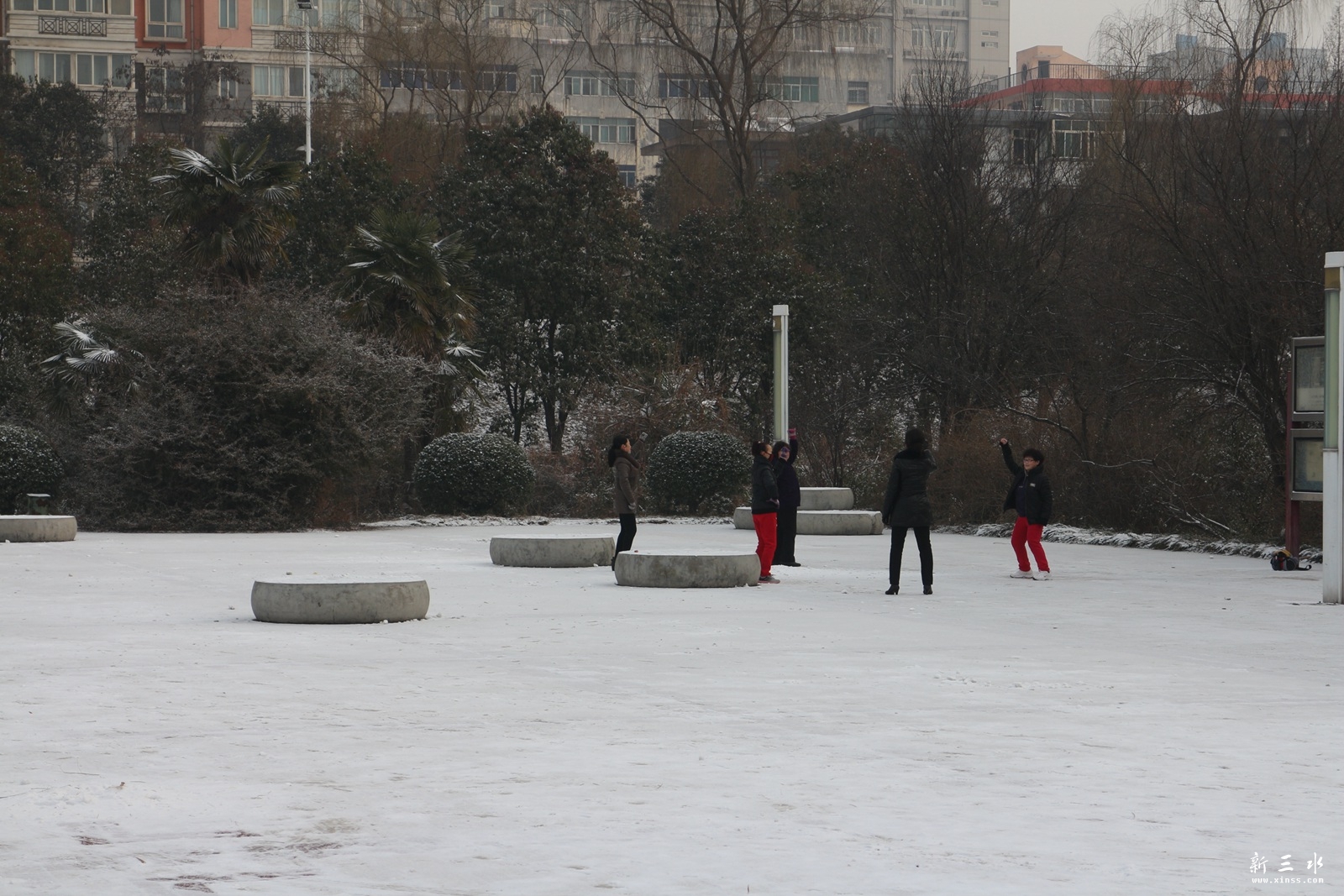 IMG_7595.JPG
