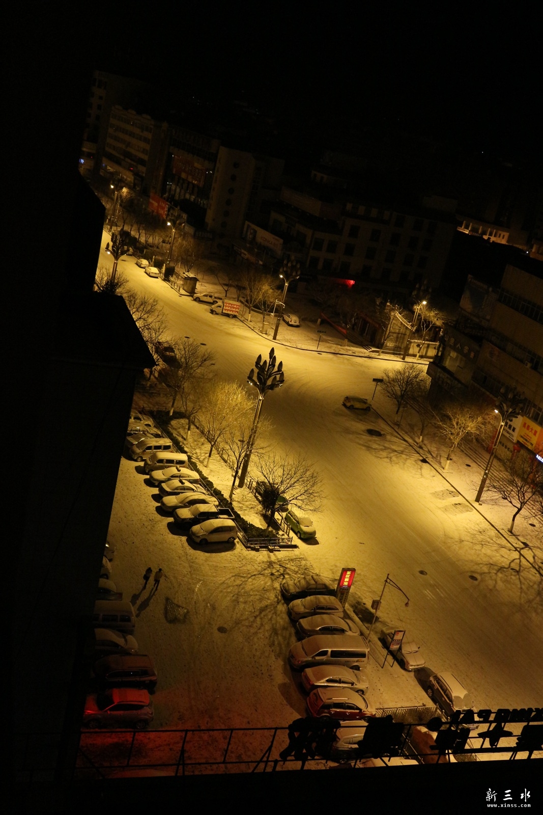 IMG_8217.JPG