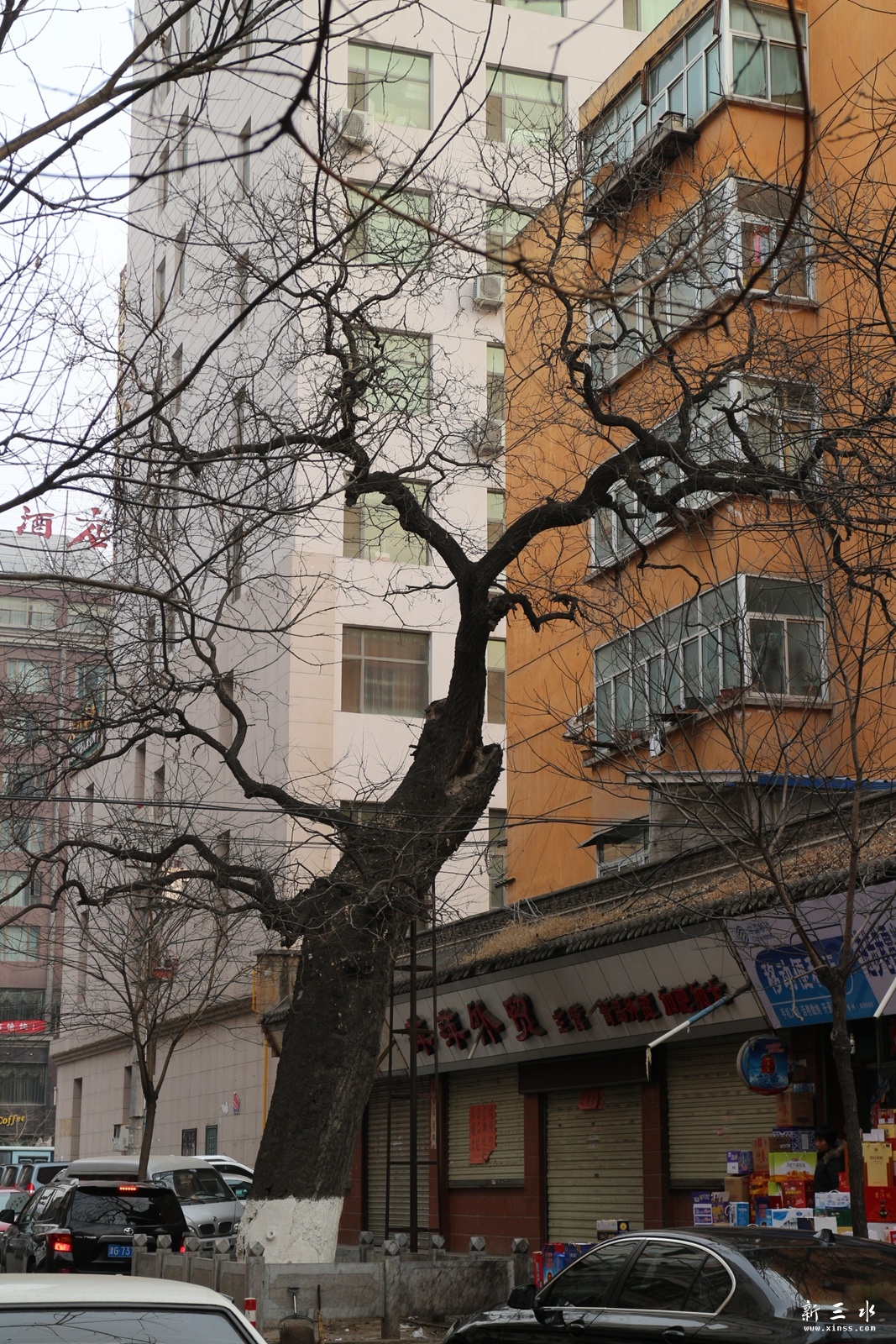 IMG_8559.JPG