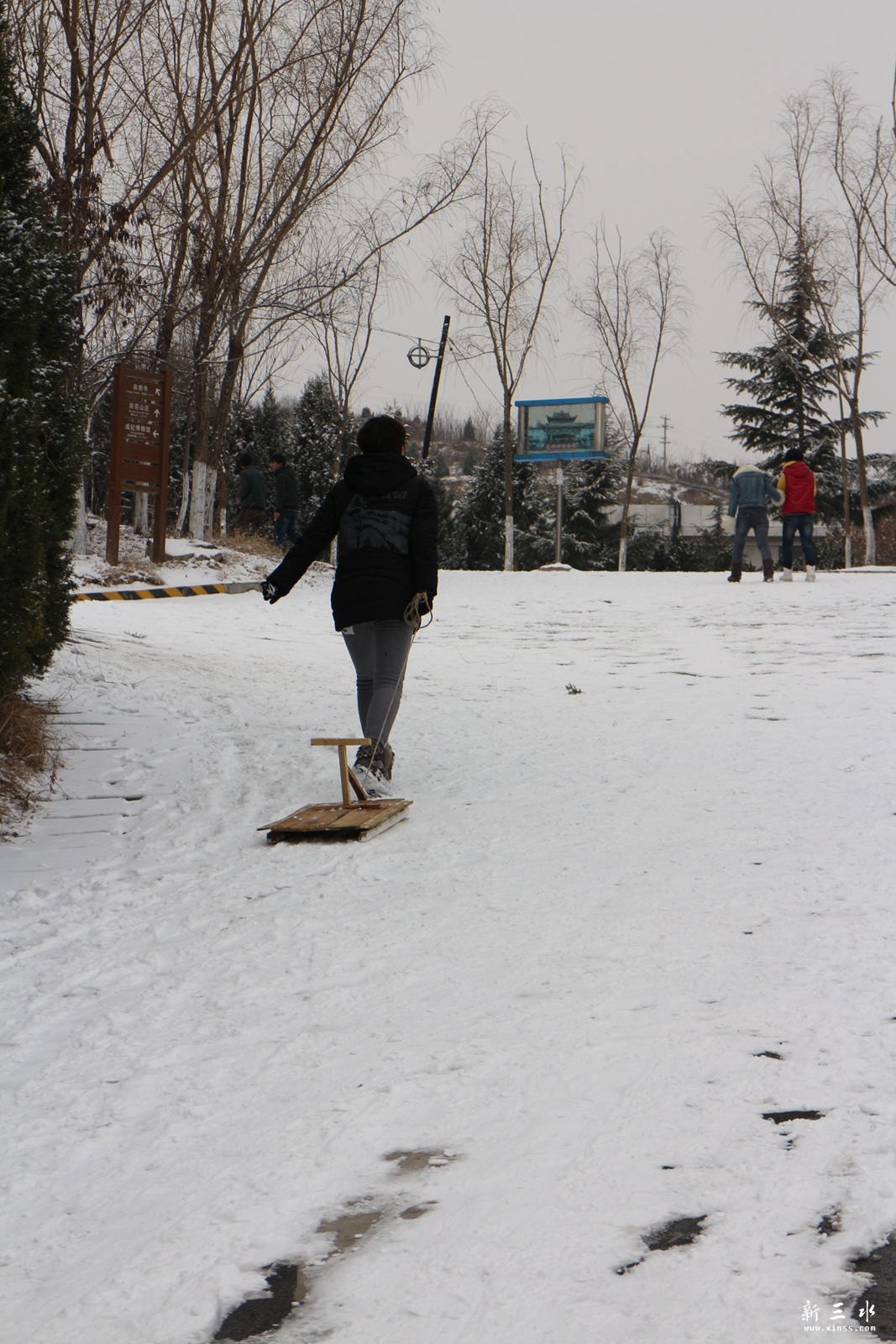 IMG_9954.JPG