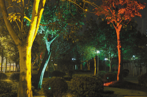 3��18�գ���ʵĵƹ�ѹ��������Ե�һ�����Ĺ�԰�յ÷��⶯�ˡ�