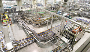 5�գ�����Ӣ������ɽ��ơ�����޹�˾���������ڷ�æ��ת��2013�꣬����Ӣ�����㶫��ţ��˰��˰�ܶ�˫˫ͻ��5 ...