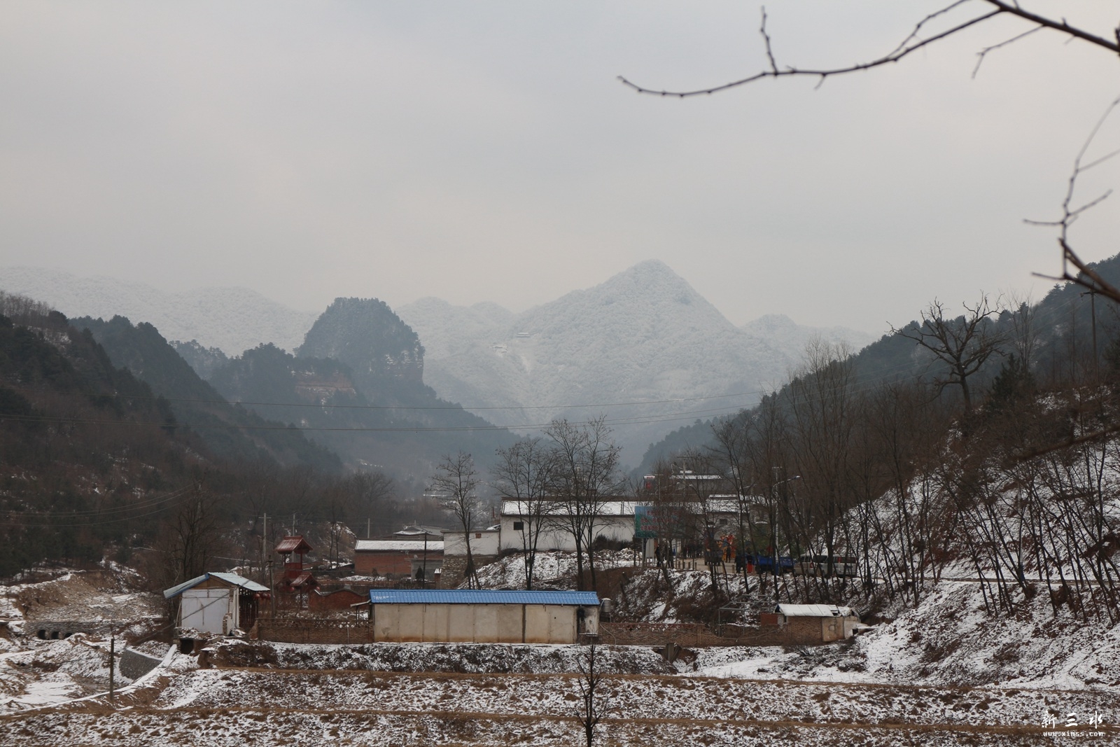 IMG_8737.JPG