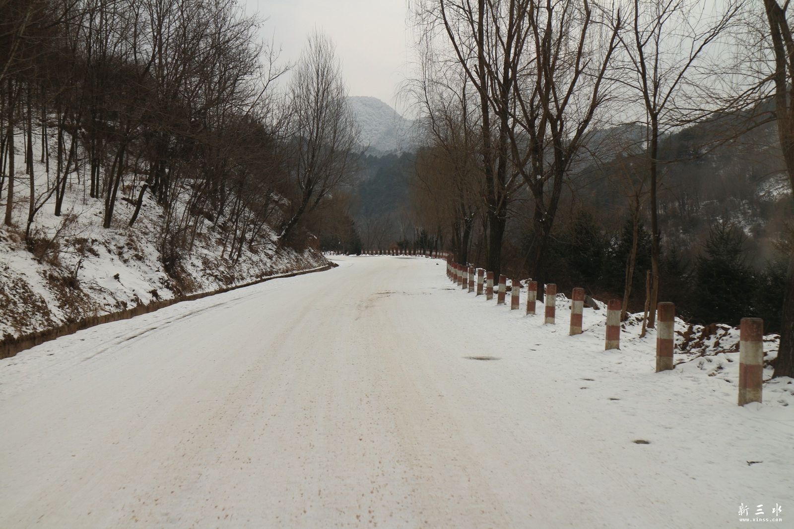 IMG_8785.JPG