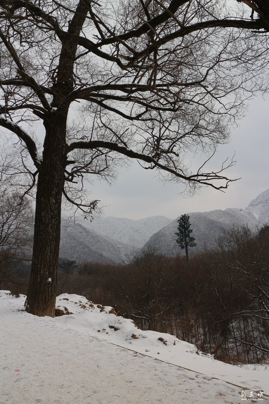 IMG_8816.JPG