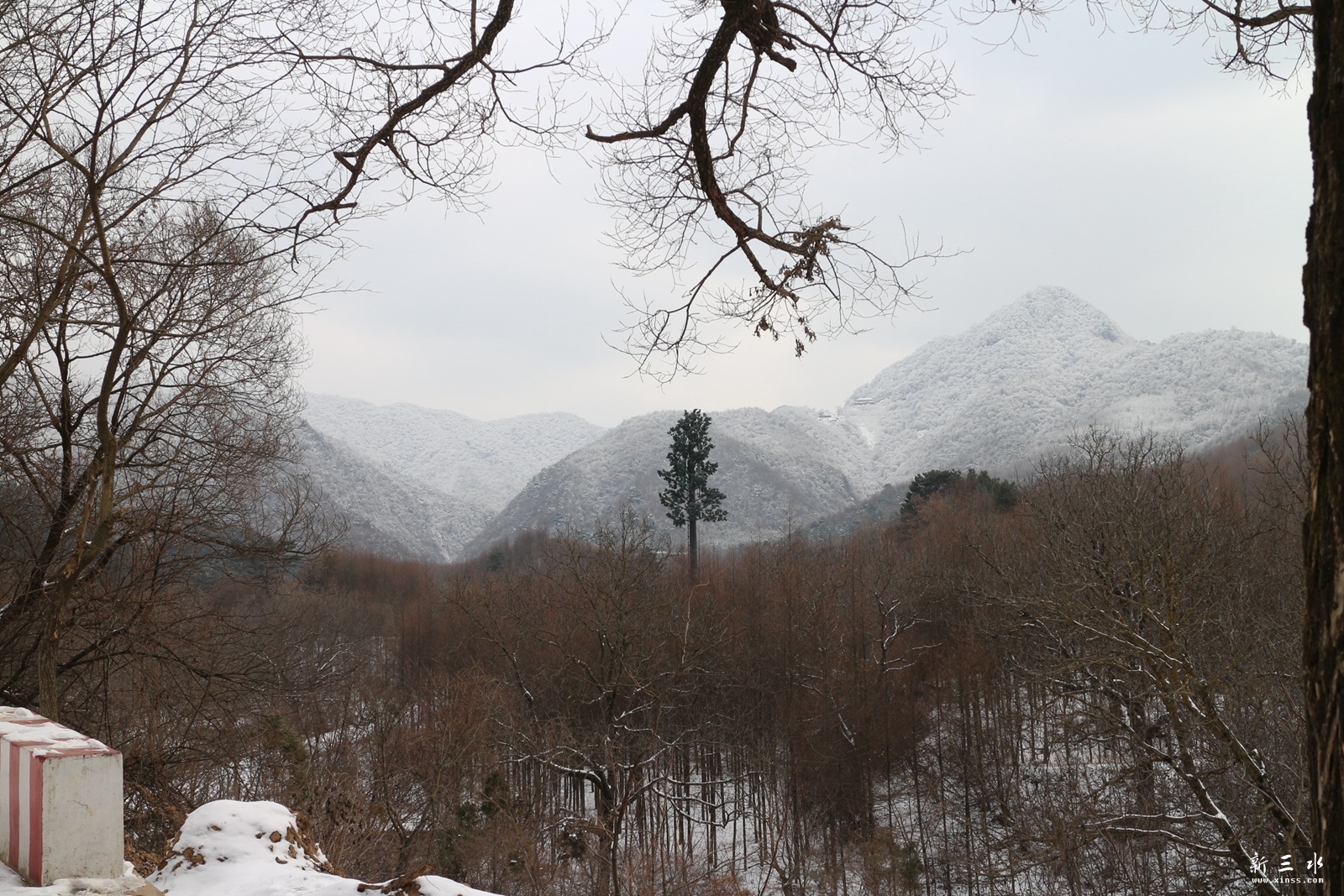 IMG_8819.JPG