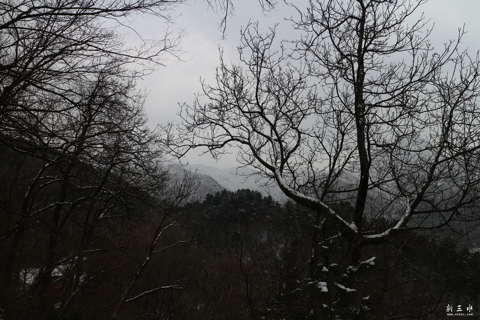 IMG_8877.JPG