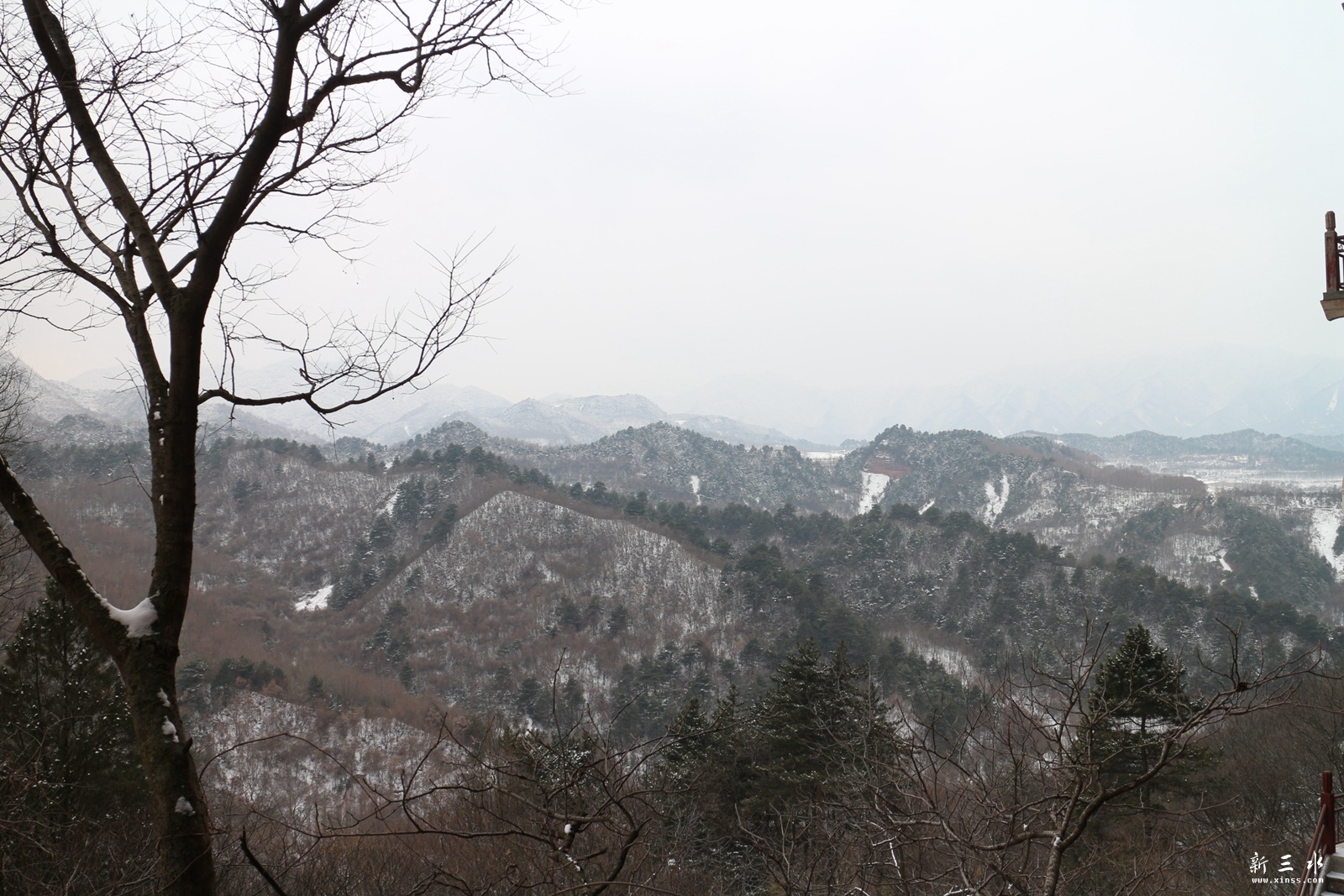 IMG_8878.JPG