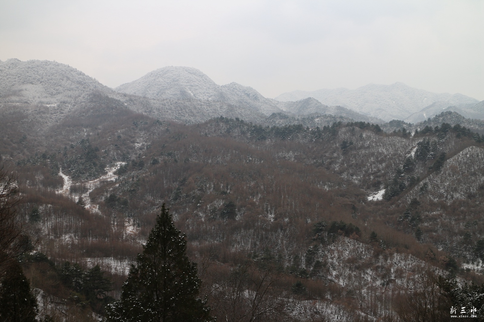 IMG_8887.JPG